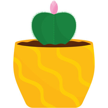 Cactus vector cacti desert bloom flower isolated