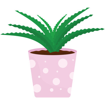Aloe vera flower plant in pot vector icon