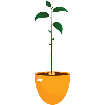 Green plant vector flat flower in pot flat icon
