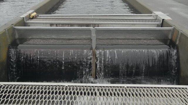 Water Rushing Over Raceway Grates at Fish Hatchery