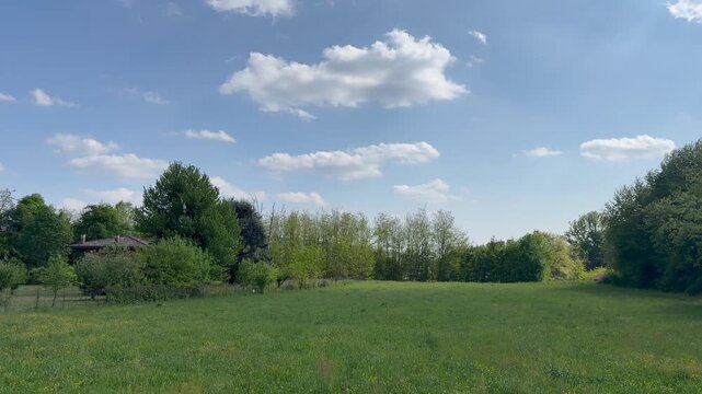 Wide view of lush green meadow with dense trees under blue sky and clouds, natural landscape in countryside, sunlight illuminating grass and foliage, peaceful outdoor scenery and environmental concept