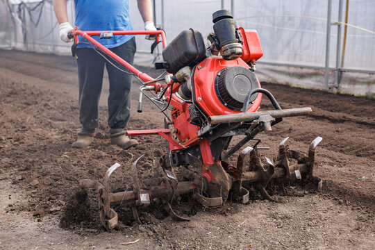Gas powered rotary tiller cultivating soil in greenhouse for seedbed preparation