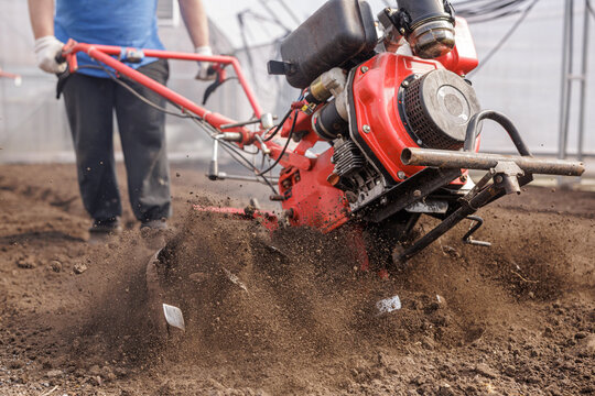 Motorized rotary tiller breaking soil in greenhouse for seedbed preparation