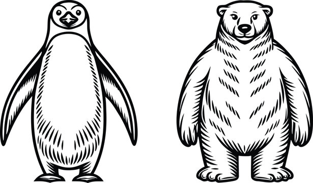 Two hand drawn cartoon penguin and polar bear standing together