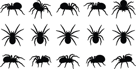 Spider silhouettes collection, arachnid insect vector illustration, creepy crawly Halloween artwork design graphic - black and white flat vector illustration © MD AMINUR