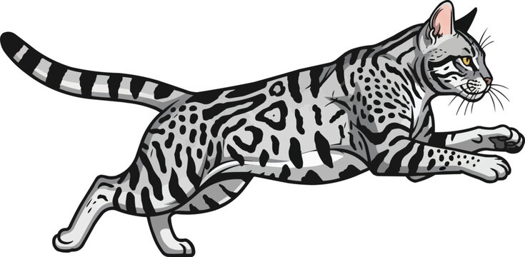 California Spangled Cat running sprinting athletic vector illustration