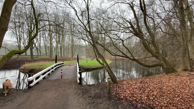Bridge in Amsterdamse Bos with People Walking Dogs on a Clouded Day