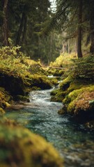 Obraz premium Forest Stream Flowing Through Mossy Rocks