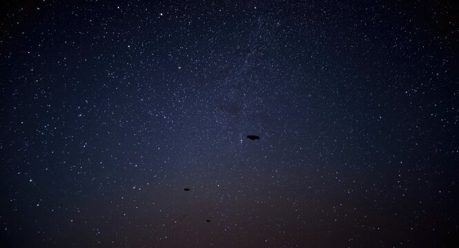 Unknown flying shapes navigating a glittering starry evening
