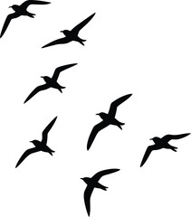 Obraz premium Flying birds silhouettes set seagulls in sky wildlife nature freedom concept isolated on white background vector illustration design collection