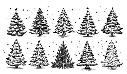 Fototapeta premium Christmas tree set on white. Hand drawn illustration.