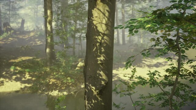 Tranquil marsh woodland with reflective water and sturdy trunks, soft green tones, algae patches on surface and dappled light creating calm wetland mood.