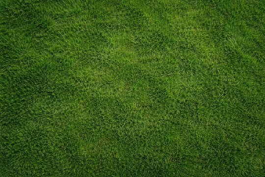 Top-down perspective of fresh grass field texture with matte surface
