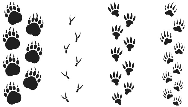 Animal Footprints Vector Set, Bear Deer Rabbit and Fox Tracks, Wildlife Paw Prints Collection Isolated on White Background, Forest Animal Trail Marks for Hunting and Tracking Illustration