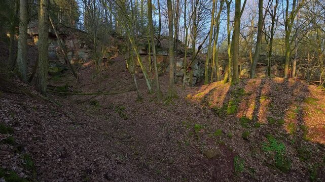 Felsen im Wald, Sonnenlicht und Schatten auf die Laubdecke, alter Steinbruch, Boxtal, Main-Boxtal, Tauber-Kreis, Baden-W&uuml;rttemberg, Dorfprozelten, Main, Spessart, Bayern, Deutschland