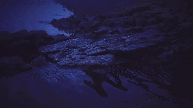 Shimmering wet rocks in bluehour light, shallow channels and glossy stone surfaces reflect faint sky, tidal pools collect scattered pebbles, cool palette