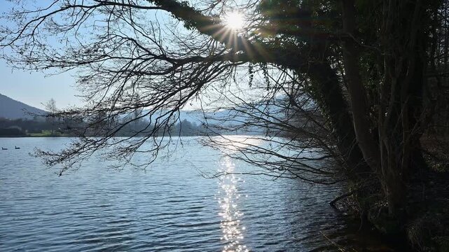 Ein ruhiger Fluss mit strahlendem Sonnenlicht, das sich auf der Wasseroberfl&auml;che spiegelt, umgeben von kahlen B&auml;umen, Faulbach, Main, Spessart, Bayern, Deutschland