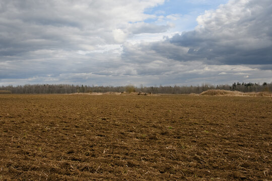 Plowed agricultural field in spring under a dramatic cloudy sky. Textured brown soil and distant piles of fieldstones near the forest line in the soft evening light.