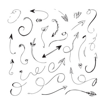 Elegant hand drawn decorative swirl arrows and artistic calligraphy design elements on white paper.