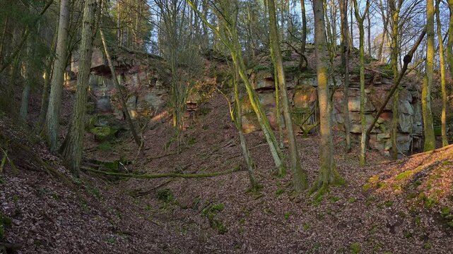 Felsen im Wald, Sonnenlicht und Schatten auf die Laubdecke, alter Steinbruch, Boxtal, Main-Boxtal, Tauber-Kreis, Baden-W&uuml;rttemberg, Dorfprozelten, Main, Spessart, Bayern, Deutschland