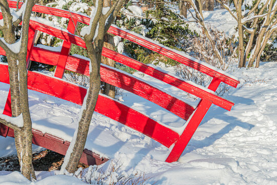 Winter Japanese garden with a red bridge arching over snowy pond or stream, contrasting greenery, concrete structure, daytime lighting