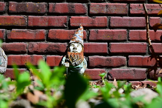 Garden Gnome