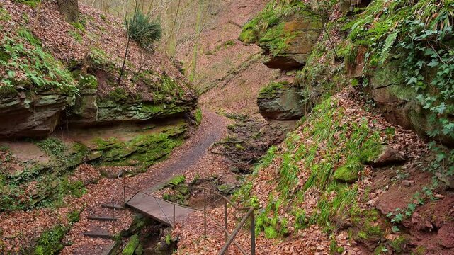 Weg mit Bach im zeitigem Fr&uuml;hjahr, Seltenbachschlucht, Klingenberg am Main, Churfranken, Untermain, Main, Bayern, Deuschland