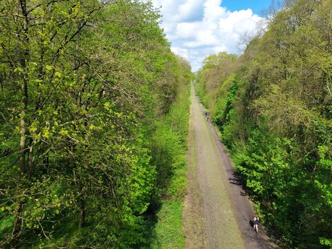 Chemin rectiligne de la Trou&eacute;e de Wallers‑Arenberg en pleine nature, Porte du Hainaut, Hauts-de-France, Nord