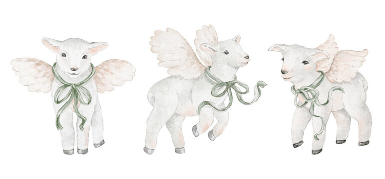 Cute lamb set illustration watercolor hand painted. Cute baby lamb sheep cartoon animal collection with playful and winged characters. Cute lamb set for card, baby shower, birthday or kids design.
