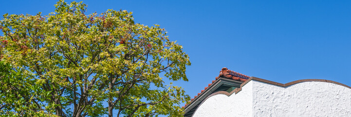 Fototapeta premium Minimalist composition of a traditional tiled roof corner and a white textured wall next to a lush green tree under a clear blue sky.