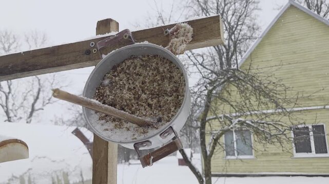 Handmade Suet Bird Feeder in a Pot: Traditional Winter Bird Feeding with Grain and Fat Mixture Hanging in a Snowy Lithuanian Garden.