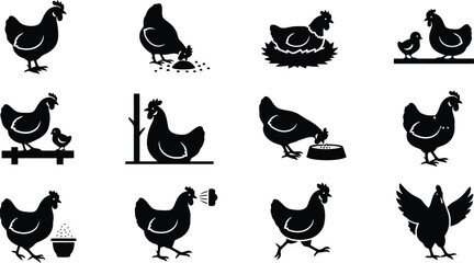 Obraz premium Farm Poultry Chicken Vector Graphic Silhouettes and Icons Set