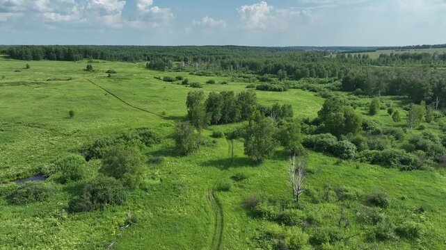 Drone view of countryside. Fields and forests in summer. 