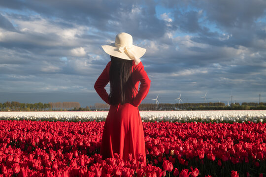 young woman with sun hat in red dress in tulip field in spring