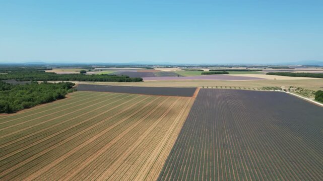 Vue a&eacute;rienne de champs de lavande dans le sud de la France