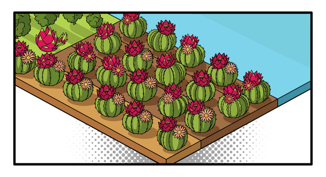 Isometric cactus garden with blossoms in comic style on wooden deck