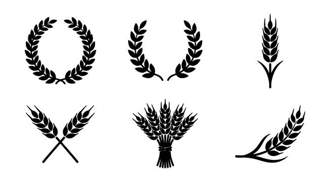 Wheat ear icons set, black cereal grain silhouettes, 6 organic barley wreath vectors
