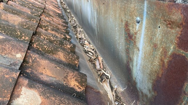 Damaged and Corroded Rain Gutter System on a Weathered Building Roof