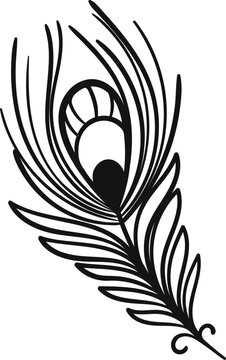 Hand Drawn Doodle Peacock Feather Line Art, Vector Black Minimal,Decorative Clipart Element