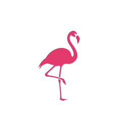 Obraz premium A minimalist pink flamingo standing on one leg on a white background, a simple illustration