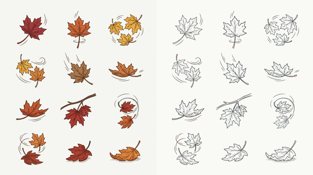 A collection of illustrations depicting maple leaves falling and swirling in the wind, shown in both color and outline.
