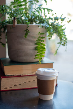 A disposable coffee cup with a paper sleeve. The hot drink is next to a stack of old books. There's a lush green fern plant in a beige flower pot on a dark table in front of a bright window. 