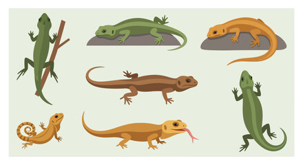 Colorful lizards in various poses.