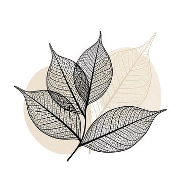 Minimalist black skeleton leaves illustration on beige background