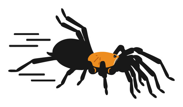 Flying tarantula spider vector illustration isolated.... Generative AI