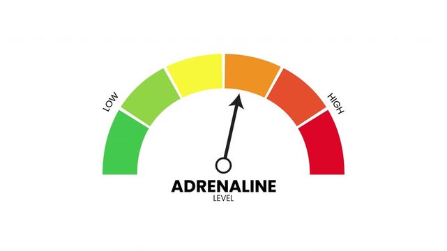 Adrenaline level gauge illustration with needle pointing to high energy zone on white background for medical and sports wellness infographics.