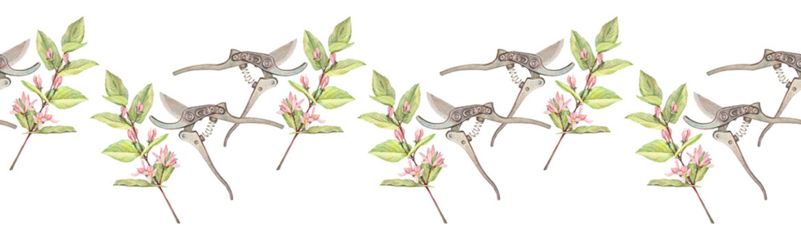 Watercolor seamless border with metal pruning shears plants on white background. Hand-drawn garden instrumental secateur. Spring and summer rim. Gray scissors and flower. Wallpaper or wrapping