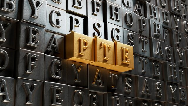Three Movable type printing with the letters PTE.close up of Movable type printing,Business Concept.3D rendering.