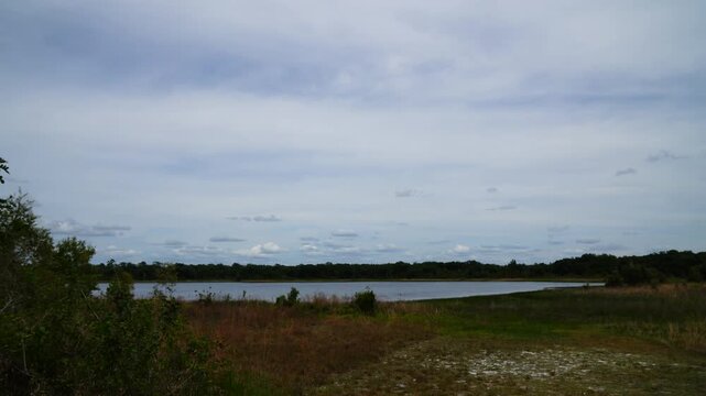 Landscape of Lake Rogers Park in Odessa, Florida, close to Tampa