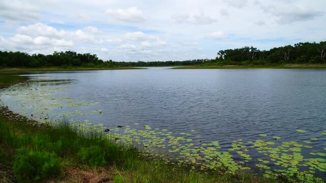 Landscape of Lake Rogers Park in Odessa, Florida, close to Tampa
